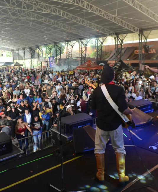 A FESTA 6